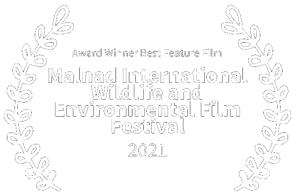 Malnad International Wildlife and Environmental Film Festival 2021